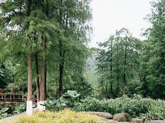-重庆彩云湖湿地公园