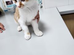 -东日国际动物医院·CT·心脏专科(桃源分院)