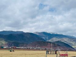 -纳帕海依拉草原