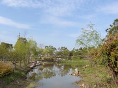 -春花秋色城市公园