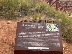 -新疆天山托木尔景区·大峡谷