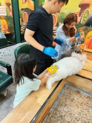 -神奇动物撸宠馆·羊驼·小浣熊·异宠(豫园店)