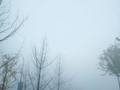 -四川广播电视台(世纪城路店)