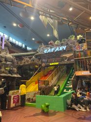 -卡通尼·Safari非洲探索乐园·生日会(金桥国际商业广场店)