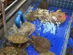 -黑金·寻焰自助百汇·烤肉·火锅(中街店)