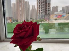 -红顶食府(滨湖九号店)