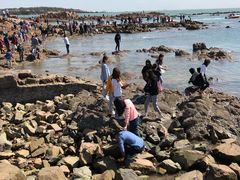 -青岛第二海水浴场