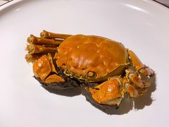 -颂·江南宴(大剧院店)