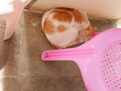 -非遗·爱西干面(小公园总店)