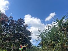-海南热带野生动植物园