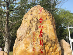-阳台山森林公园