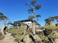 -罗红摄影艺术馆