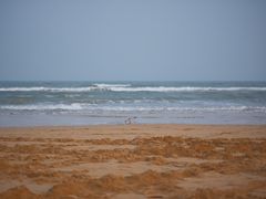 -日照海滨国家森林公园
