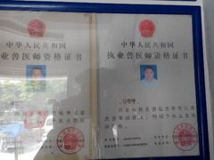 -爱牧宠物医院·猫专科·骨科·内窥镜(甪直店)