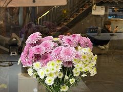 -后海16号·北京私房菜