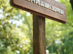 -上海共青森林公园