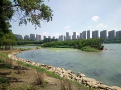 -丁香湖公园