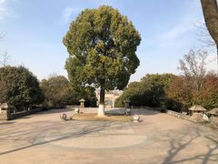 -南京市江宁方山