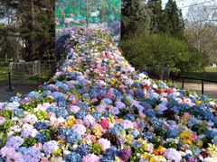 -上海共青森林公园