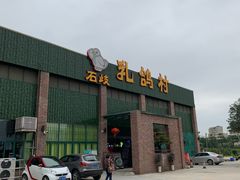 -石岐乳鸽村(南海第三分店)
