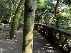 -海南铜鼓岭景区