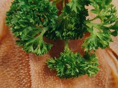 -蒙都43°9羊火锅·赤峰美食(宁城店)