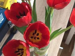 -勒甜LO CHO·私人订制低糖代糖纯动物奶油生日蛋糕(新开路店)