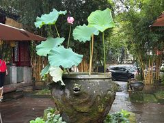-土砂锅生态山庄·非遗砂锅雅鱼