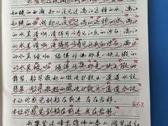 -赵汝飞练字硬笔书法(静安大融城校区)
