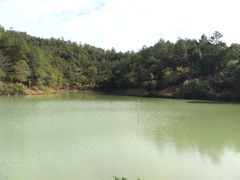 -广州白江湖森林公园