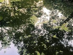 -中山公园