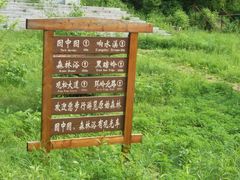 -五营红松林海景区