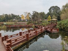-成飞公园