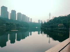 -重庆彩云湖湿地公园