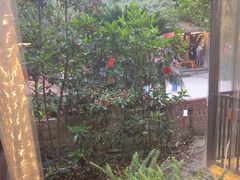 -醉月城西昌火盆烧烤(天府店)