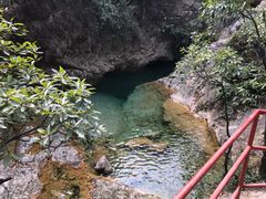 -南海湾森林生态园
