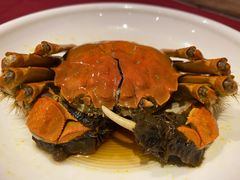 -老吉士酒家(天平路店)