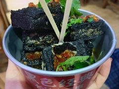 -黑色经典臭豆腐·湖南特产(坡子街店)