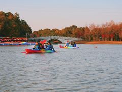 -上海海湾国家森林公园