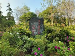 -洛阳市牡丹公园