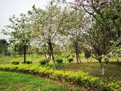 -荔湾区儿童公园