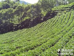-神农架景区