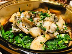 香葱焗石斑鱼-尚一汤·粤菜海鲜(环球港店)