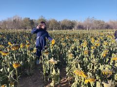 -汉长安城未央宫国家考古遗址公园