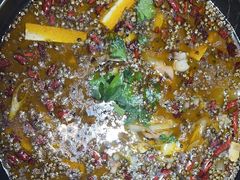 -南山渔美蛙鱼·老鸭汤·火锅(成都大邑店)