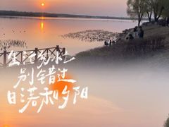 -丁香湖公园