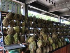 -SS2 榴梿鲜生