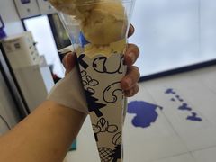 -西琳姑娘·新疆冰淇淋酸奶茶(解放北路店)