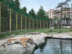 -上海野生动物园