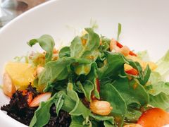 -食神鱼头佛跳墙(百子湾旗舰店)